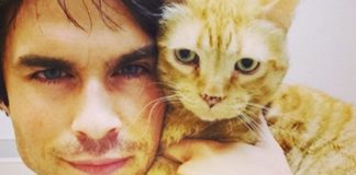 celebrities who own cats