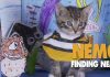 halloween costumes pets