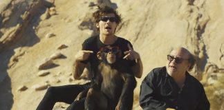 peta one direction steal my girl video