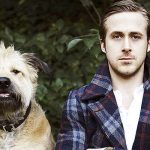 celebrity dogs ryan gosling george