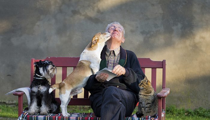 Dogs Bad Breath: 6 Ways To Cure The Stink