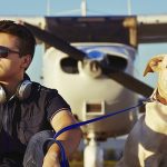 therapy dogs fear of flying