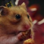 tiny hamster thanksgiving video