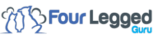 FLG-logo1-300x85