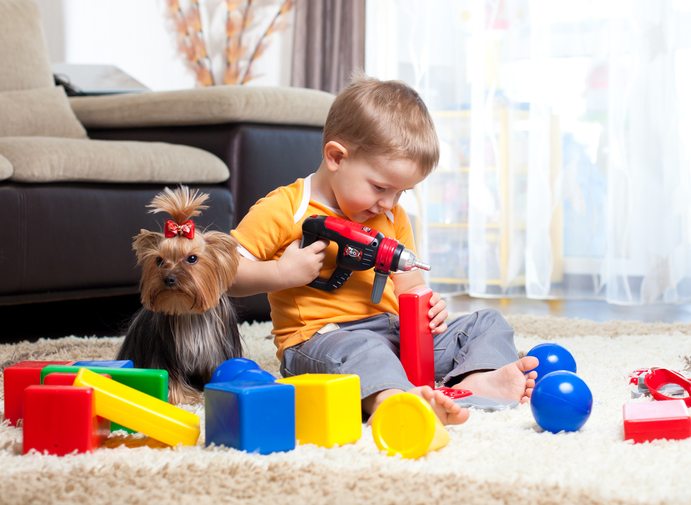 Choking on kids toys can kill your pet