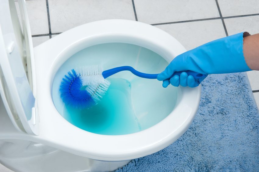 Don't Let Your Dog Drink The Blue Toilet Water