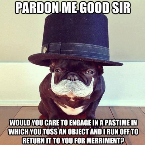pardon-me-good-sir