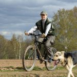 bike safety dog