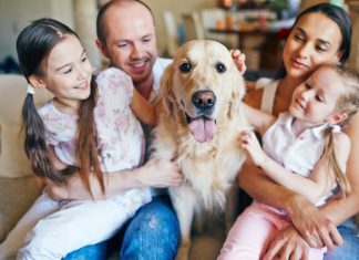 Introduce your dog to the family